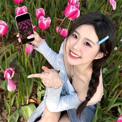 暴力的种子